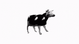 polish-cow-icegif.gif